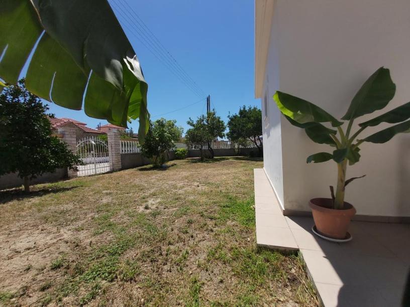 Konstantinos Apartments อัมมูเดีย ภายนอก รูปภาพ
